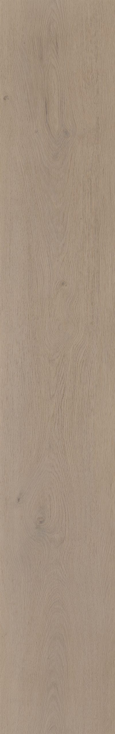 Belakos Attico 830 | Bruin