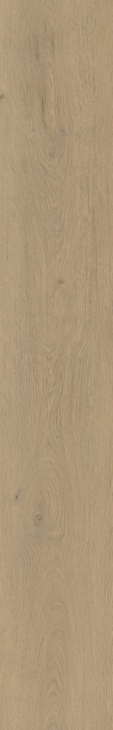 Belakos Attico 870 | Bruin