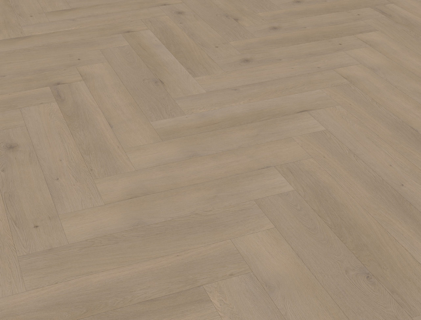 Belakos Attico visgraat XL 82 | Bruin