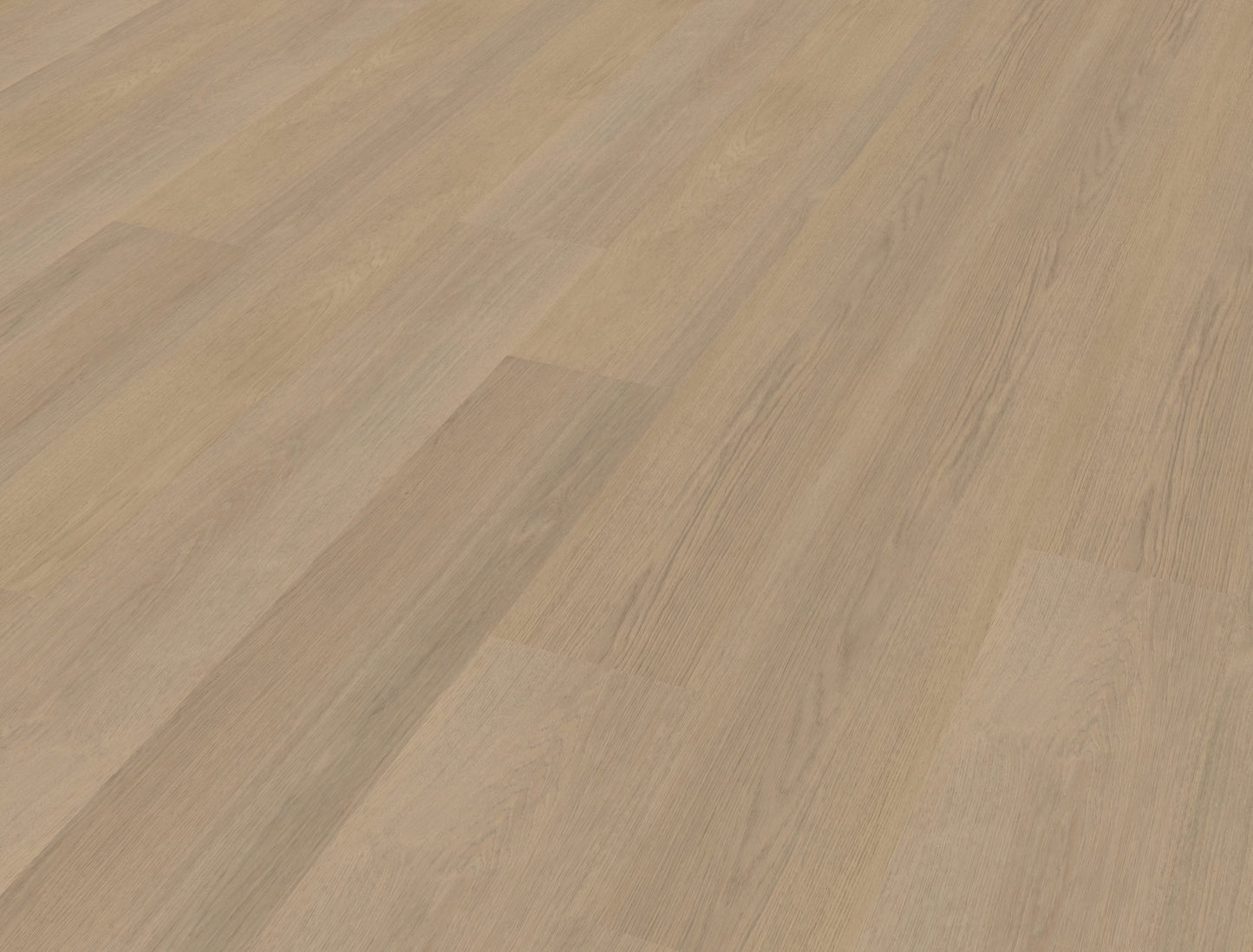 Belakos Futuro 530 | Rigid Click | Bruin