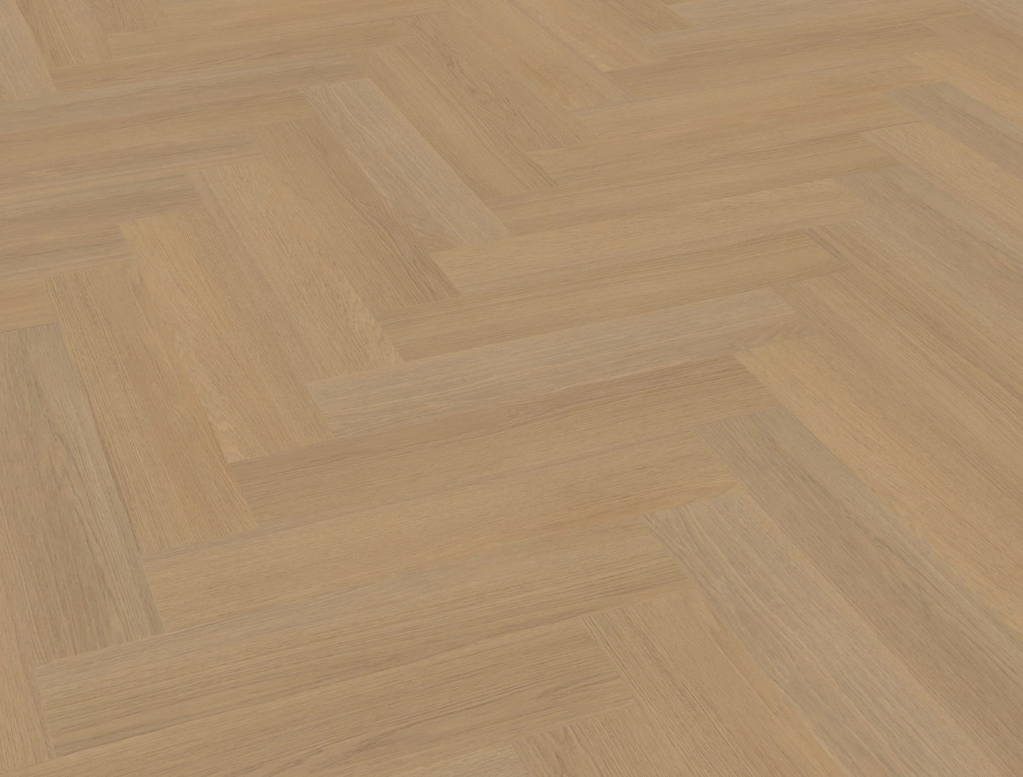 Belakos Futuro visgraat XL 50 | Rigid Click | Bruin