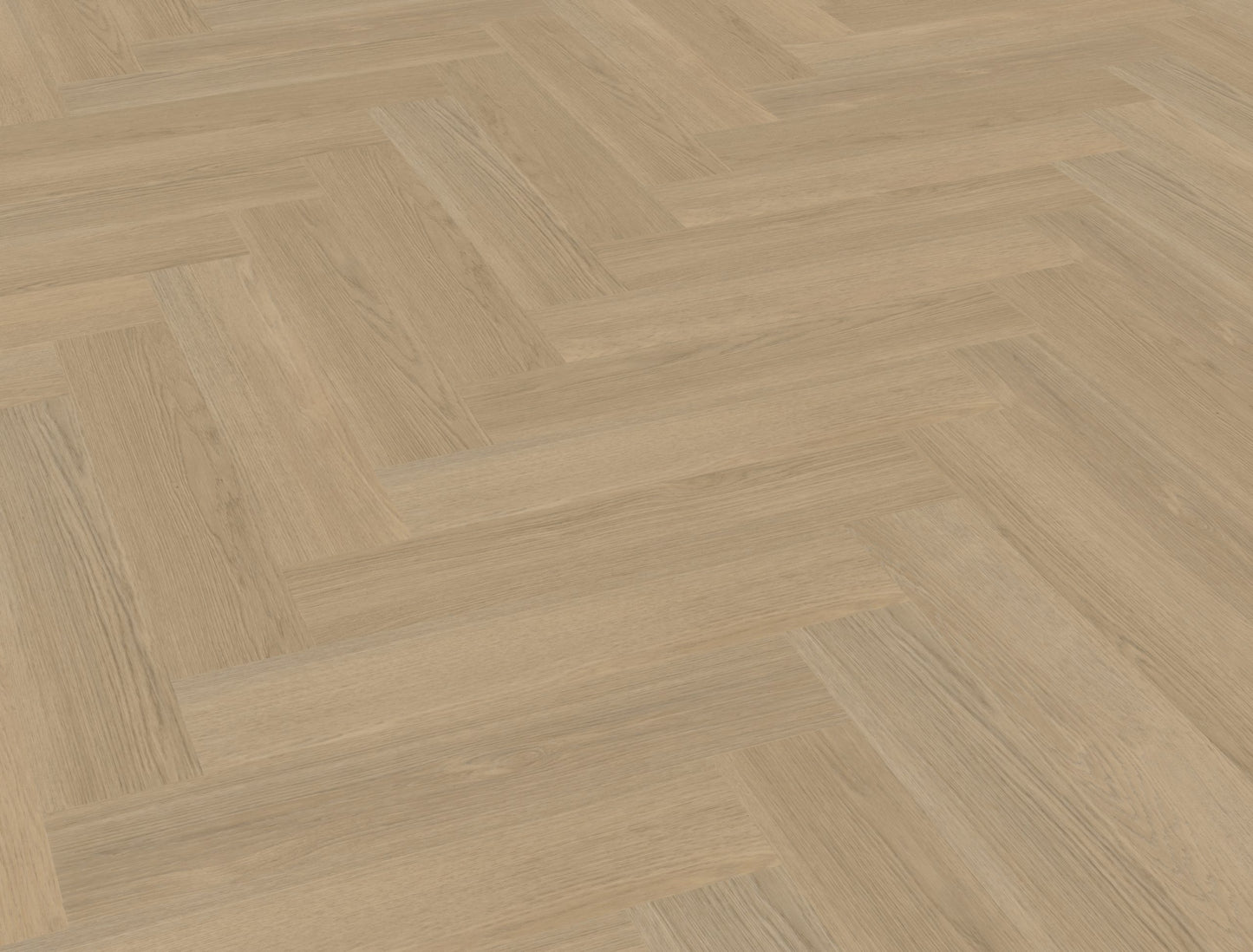 Belakos Futuro visgraat XL 53 | Bruin