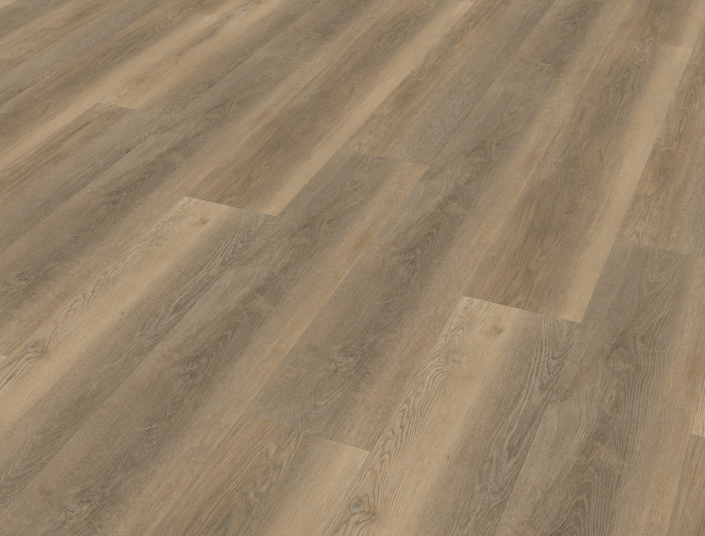 Belakos Palazzo 250 | Bruin