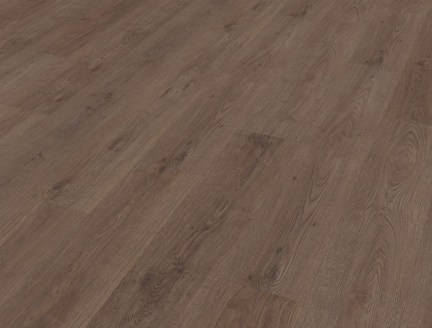 Belakos Monastro 900 | Rigid Click | Bruin