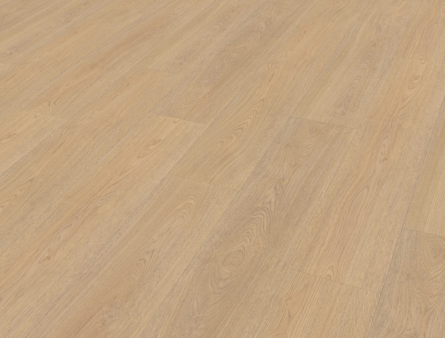 Belakos Terreno 610 | Bruin