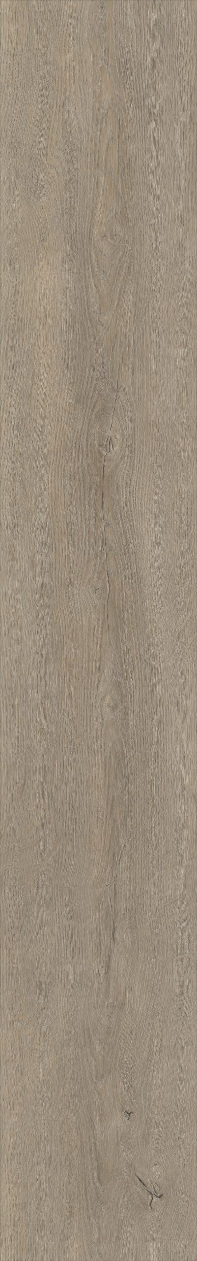 Belakos Palazzo 700 | Bruin