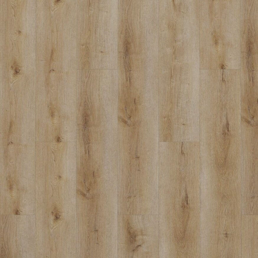 Gelasta Dynamic Klik Natural Smoked