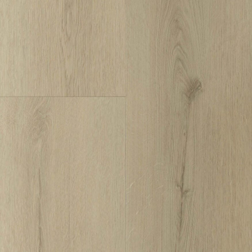 Gelasta Sierra Dryback Smoked