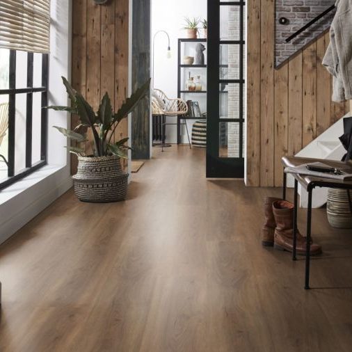 Ambiant Robusto (Warm Brown)