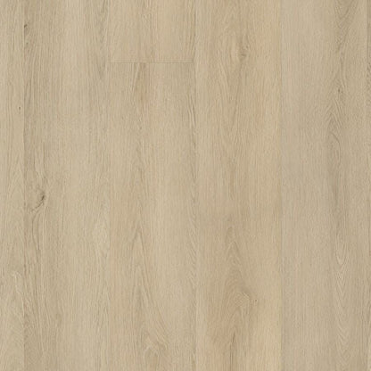 Ambiant Marento Dryback (3013)