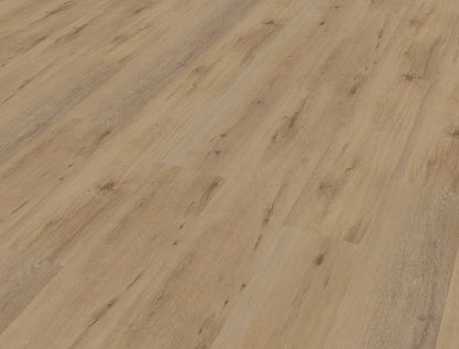 Belakos Attico 800 | Bruin