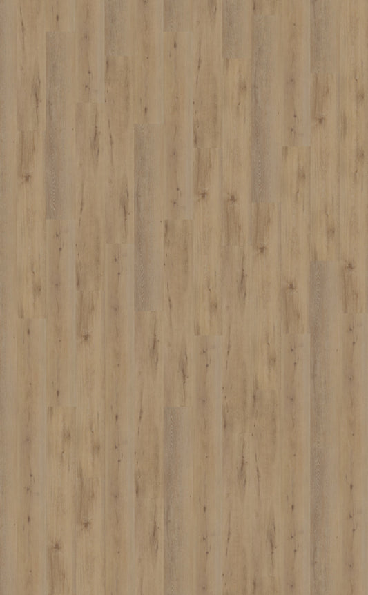 Belakos Attico 800 | Bruin