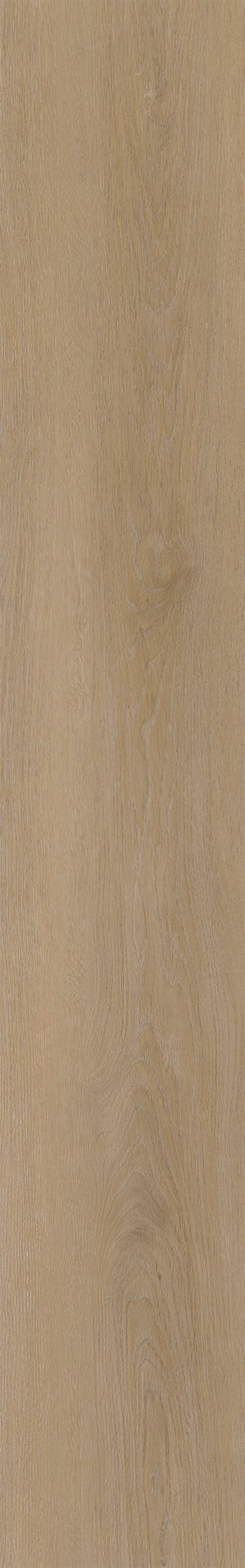 Belakos Attico 810 | Rigid Click | Bruin