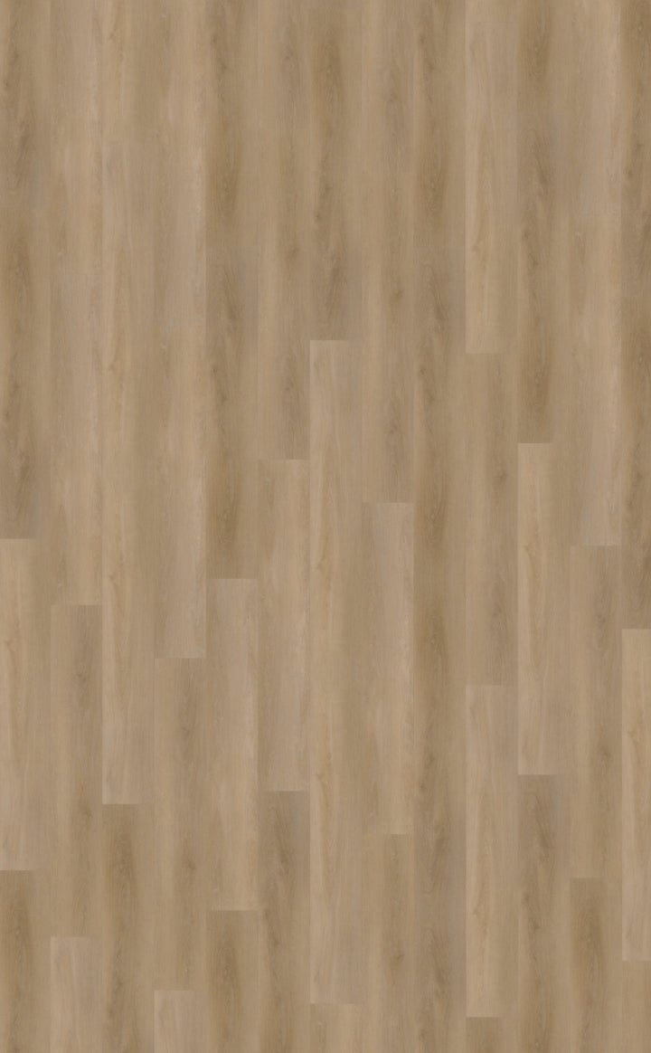 Belakos Attico 810 | Bruin