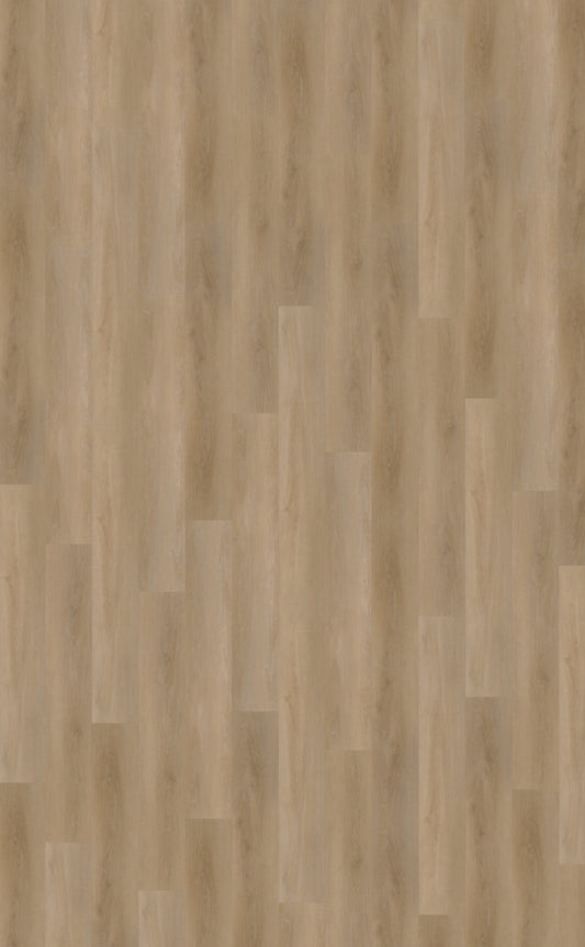 Belakos Attico 810 | Bruin