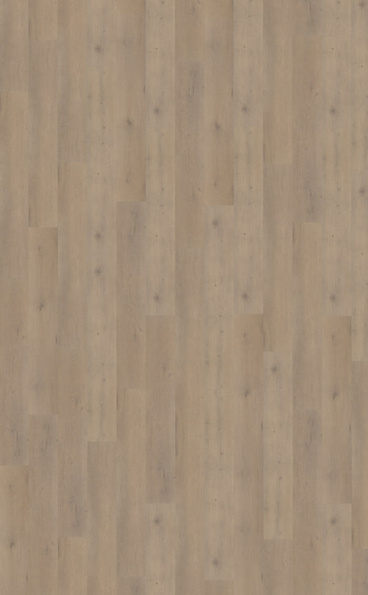 Belakos Attico 820 | Bruin