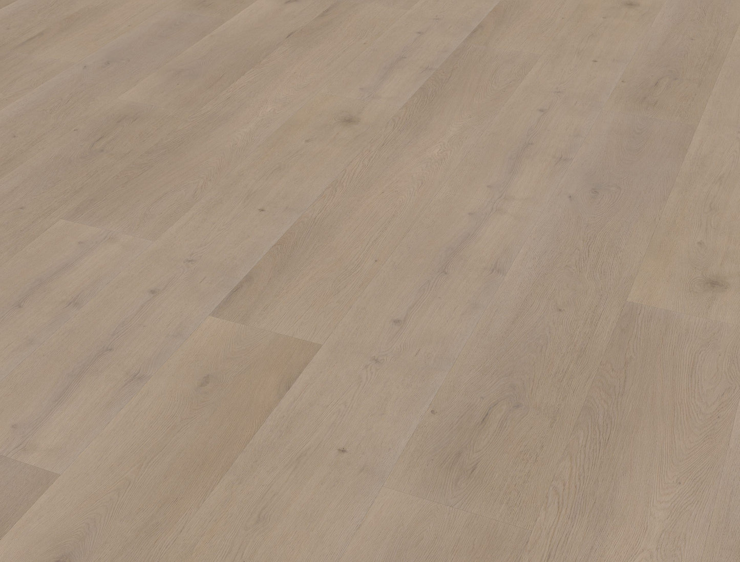 Belakos Attico 830 | Rigid Click | Bruin