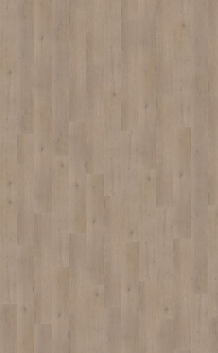 Belakos Attico 830 | Bruin