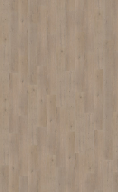 Belakos Attico 830 | Bruin