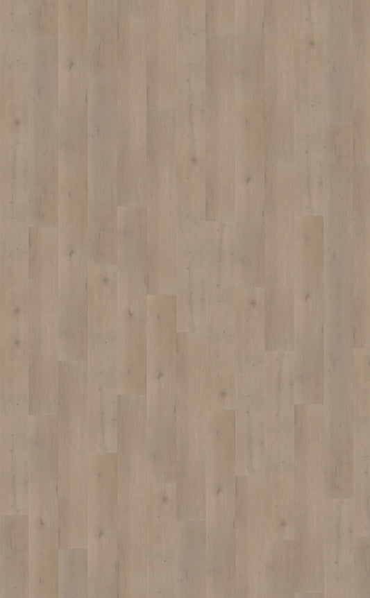 Belakos Attico 830 | Rigid Click | Bruin