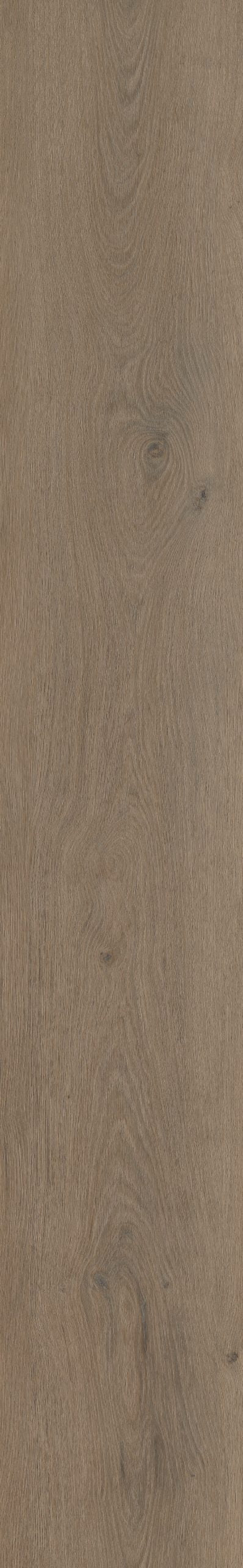 Belakos Attico 840 | Bruin