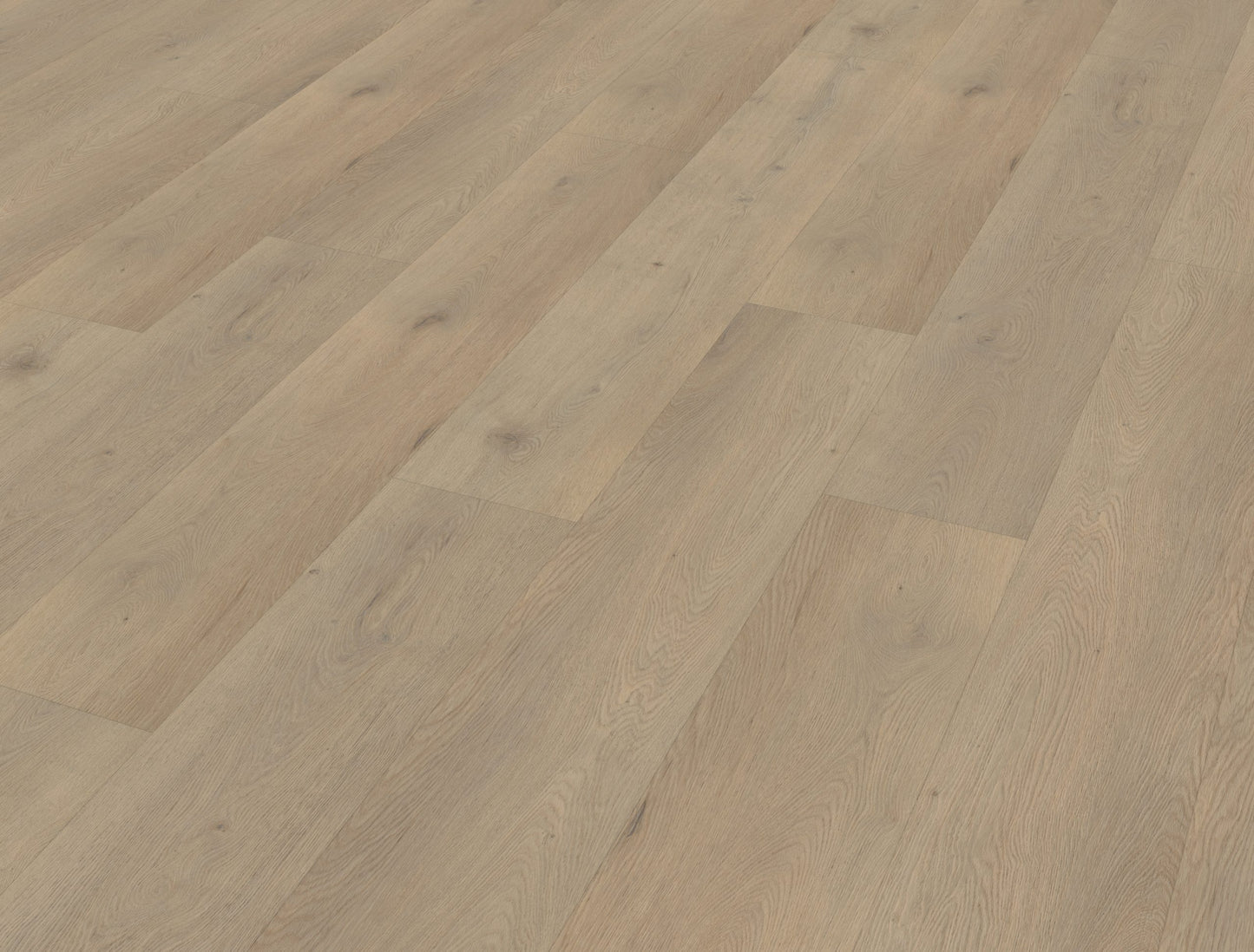 Belakos Attico 860 | Rigid Click | Bruin