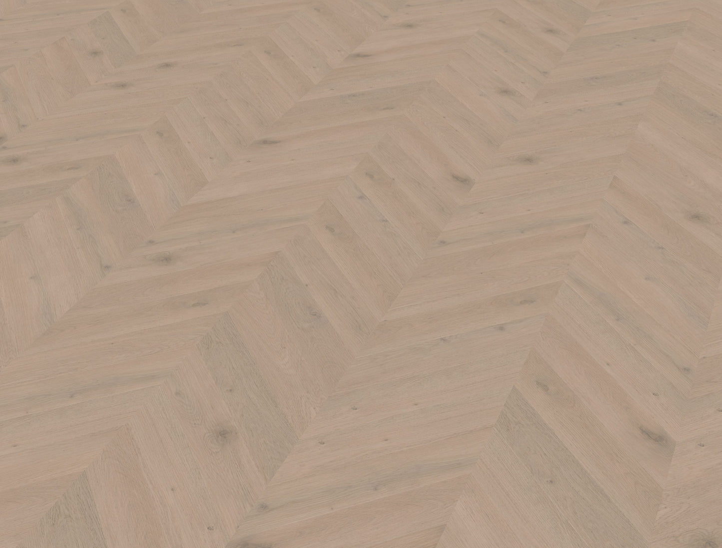 Belakos Attico Hongaarse punt | Weense punt 83 | Bruin