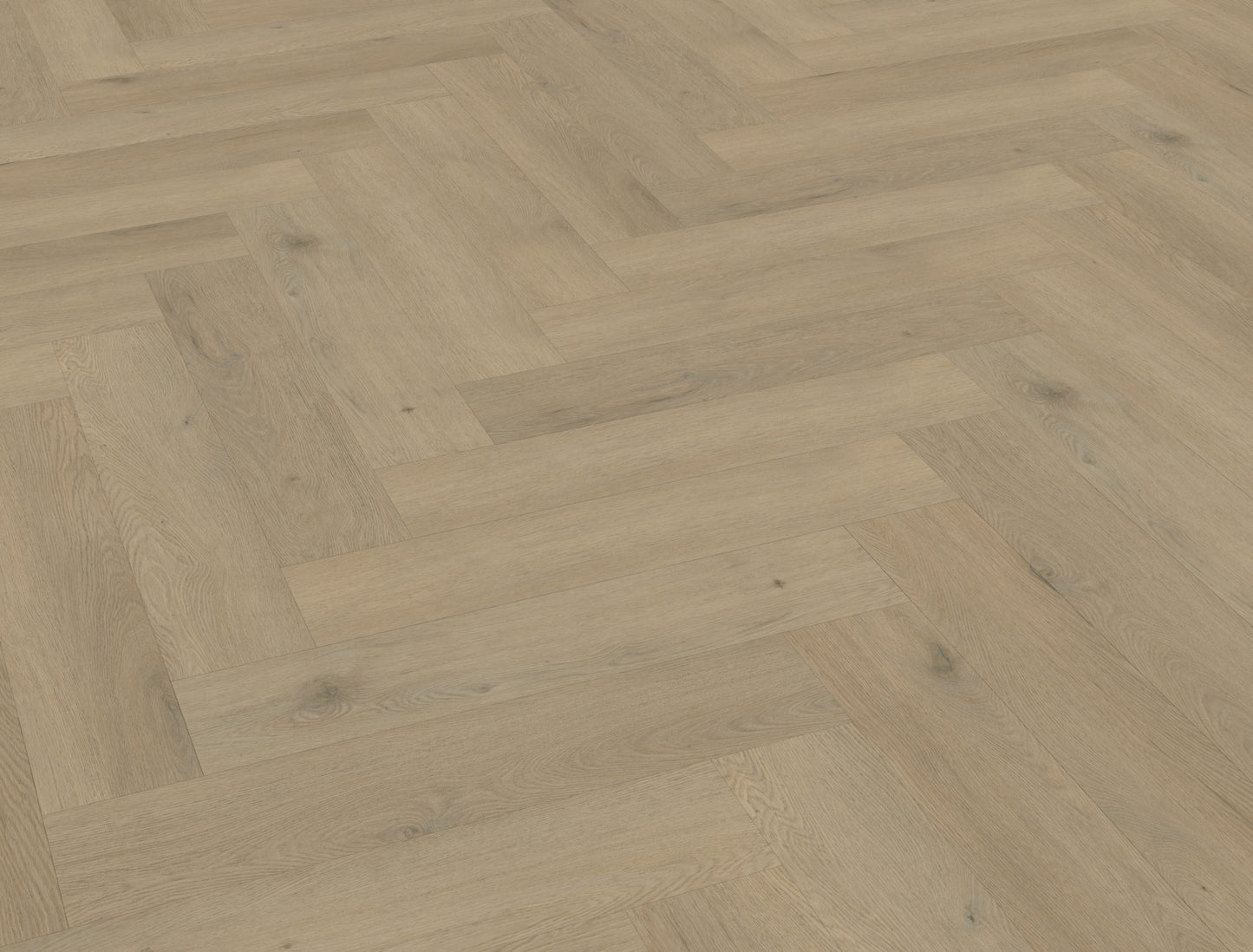 Belakos Attico visgraat XL 86 | Rigid Click | Bruin