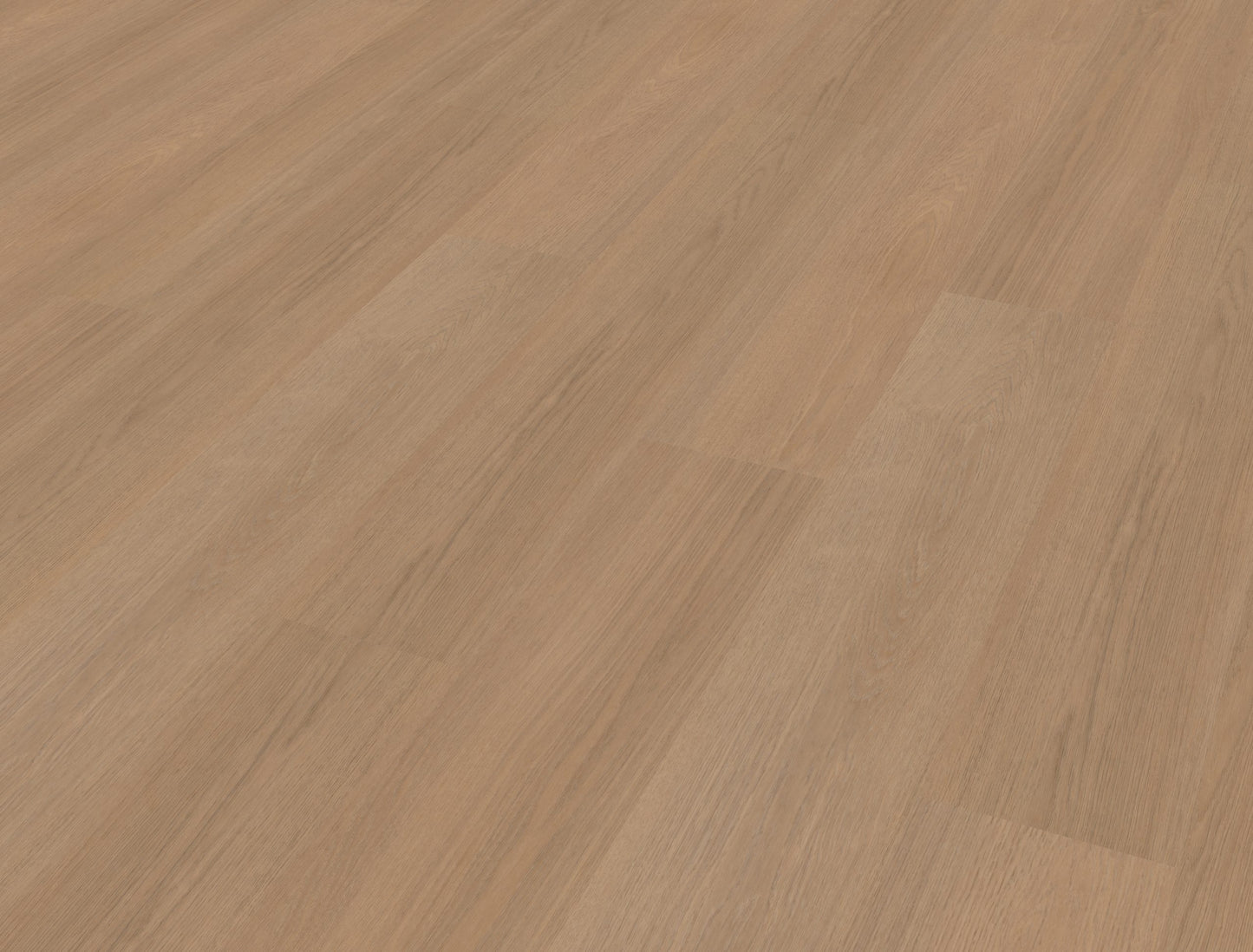 Belakos Futuro 500 | Rigid Click | Bruin