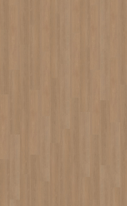 Belakos Futuro 500 | Bruin