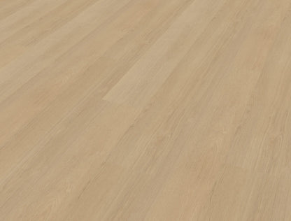 Belakos Futuro 510 | Bruin