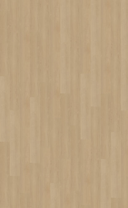 Belakos Futuro 510 | Rigid Click | Bruin