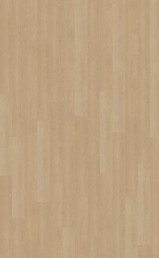 Belakos Futuro 510 | Rigid Click | Bruin