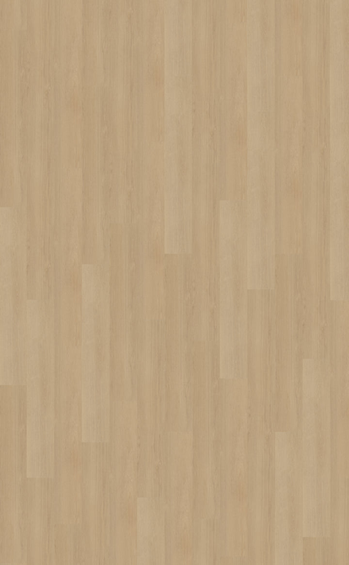 Belakos Futuro 510 | Bruin