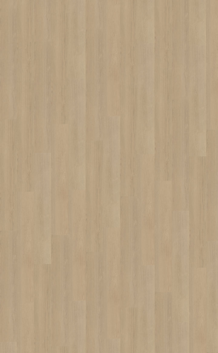 Belakos Futuro 520 | Rigid Click | Bruin