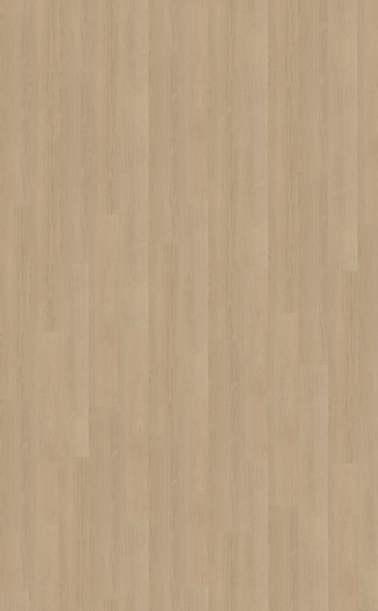 Belakos Futuro 520 | Rigid Click | Bruin