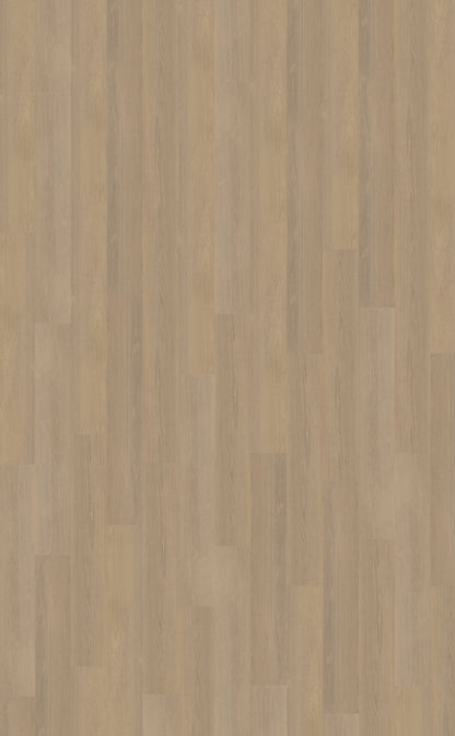 Belakos Futuro 530 | Rigid Click | Bruin