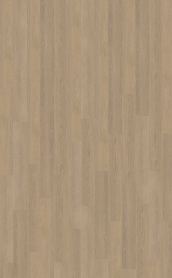 Belakos Futuro 530 | Bruin