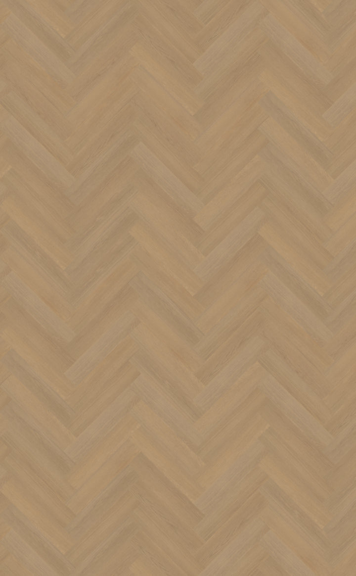 Belakos Futuro visgraat XL 50 | Rigid Click | Bruin