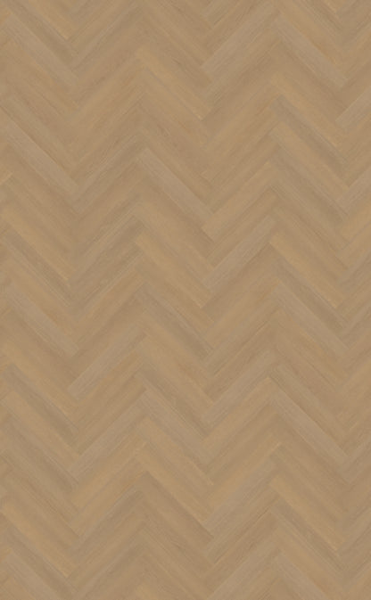 Belakos Futuro visgraat XL 50 | Rigid Click | Bruin