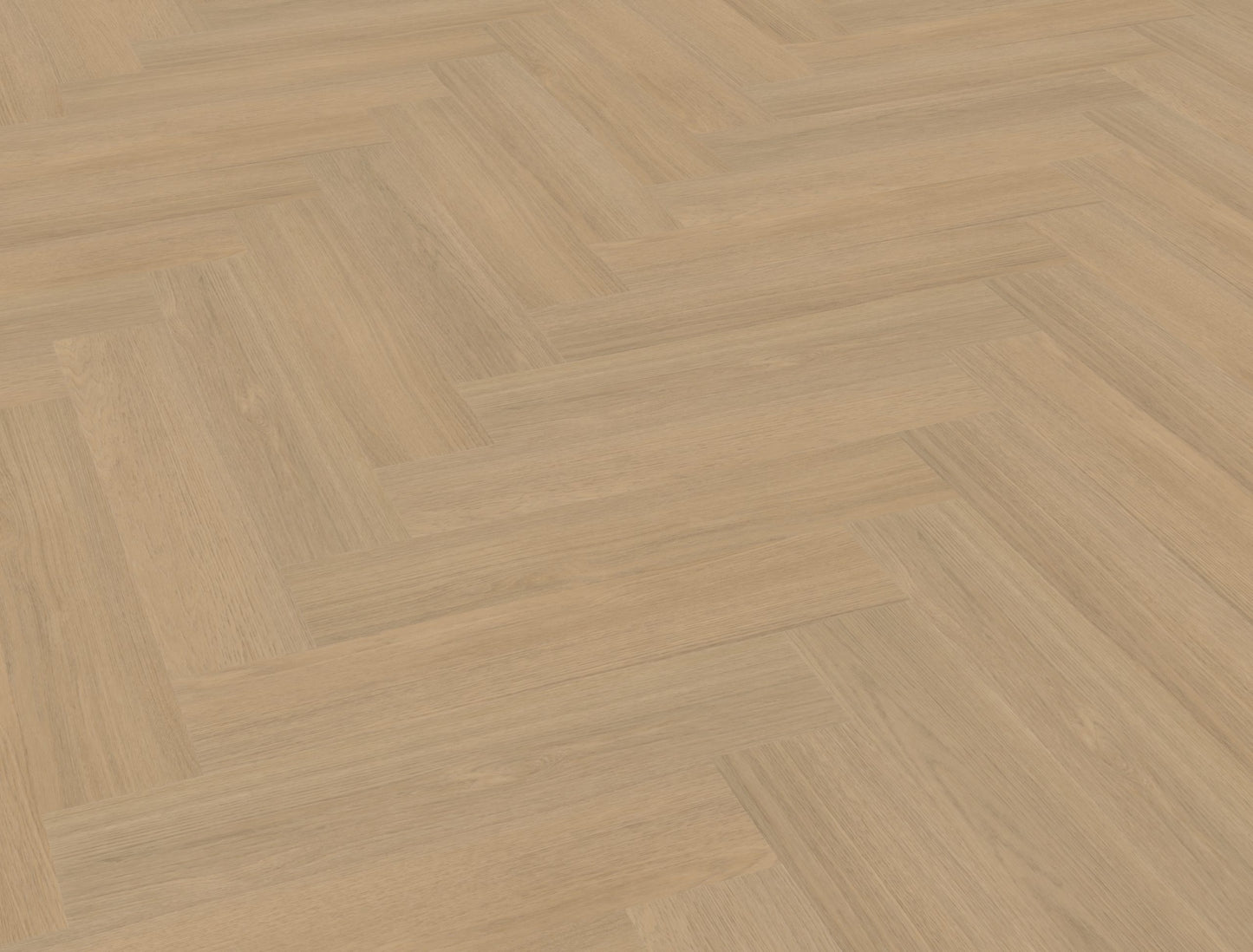 Belakos Futuro visgraat XL 51 | Bruin