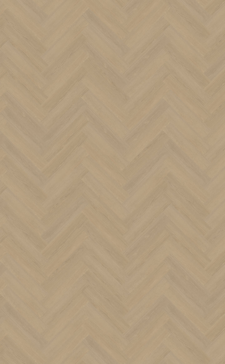 Belakos Futuro visgraat XL 52 | Bruin