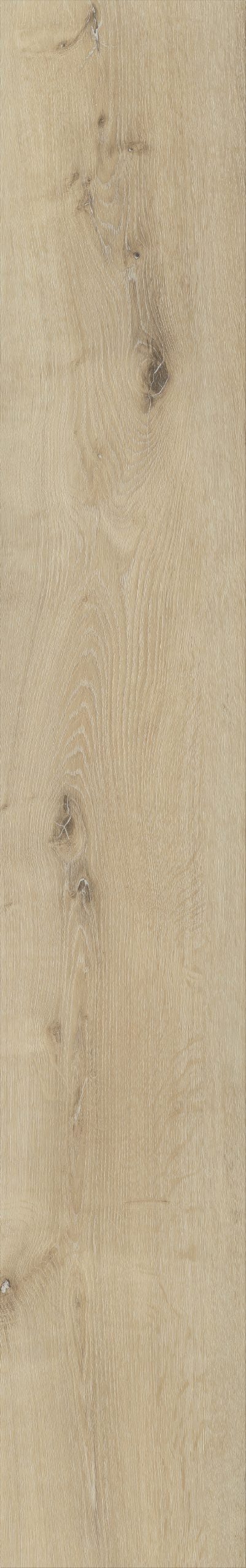 Belakos Palazzo 150 | Bruin