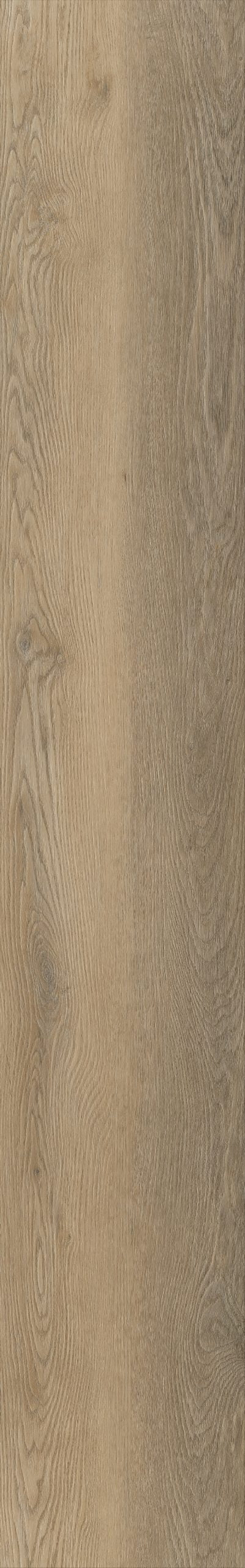 Belakos Palazzo 250 | Bruin