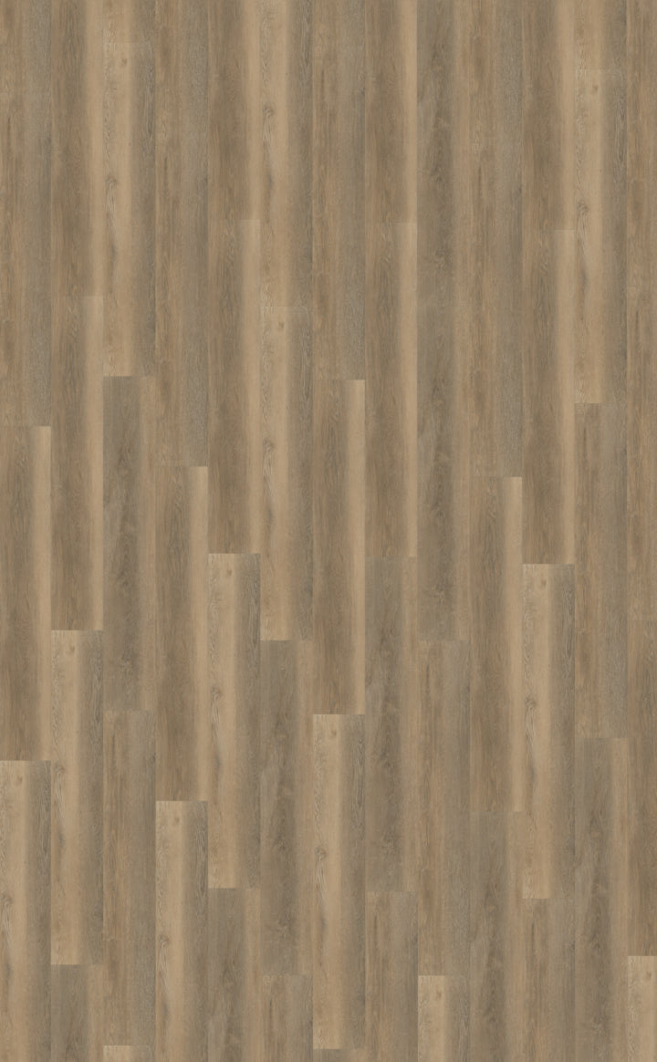 Belakos Palazzo 250 | Bruin