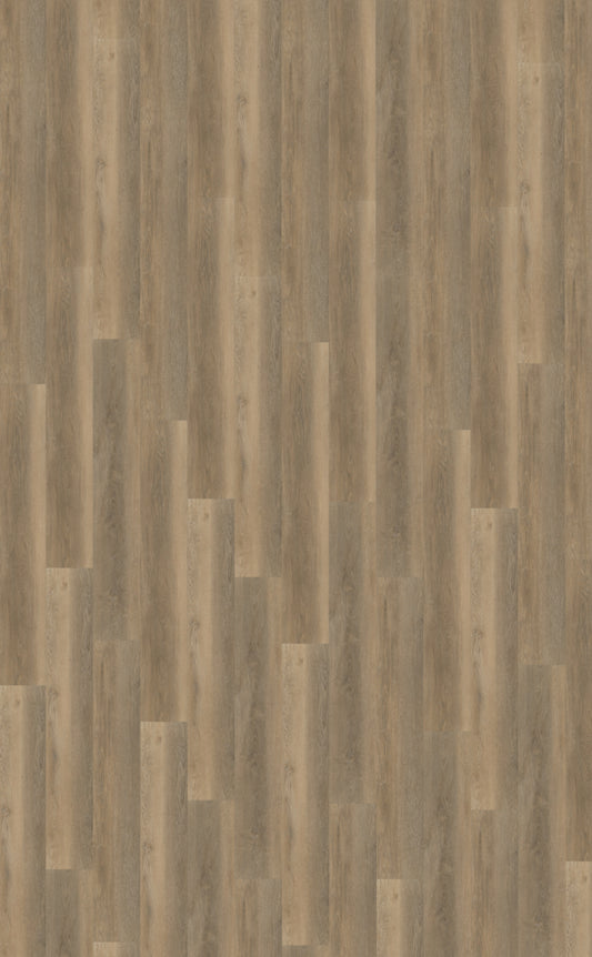 Belakos Palazzo 250 | Bruin