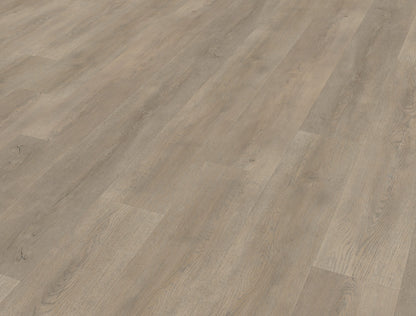 Belakos Palazzo 700 | Bruin