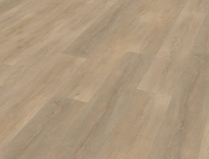 Belakos Palazzo 710 | Bruin