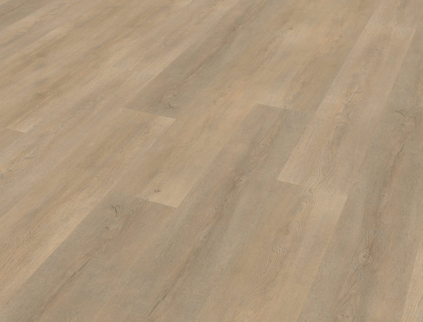 Belakos Palazzo 710 | Rigid Click | Bruin