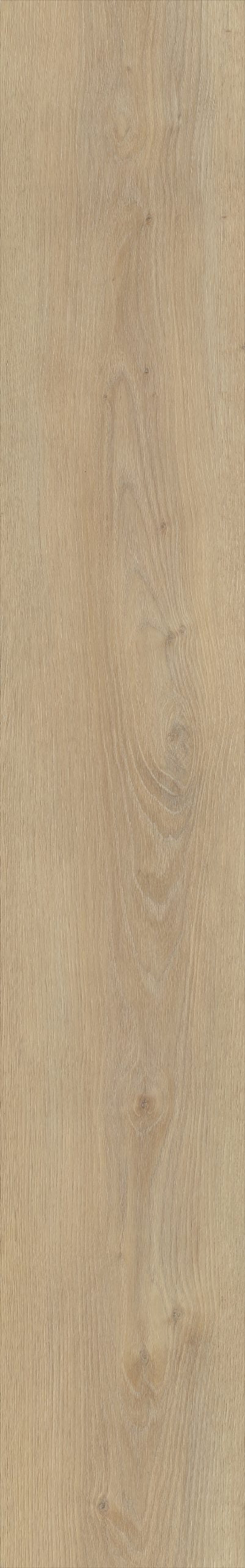 Belakos Palazzo 720 | Bruin